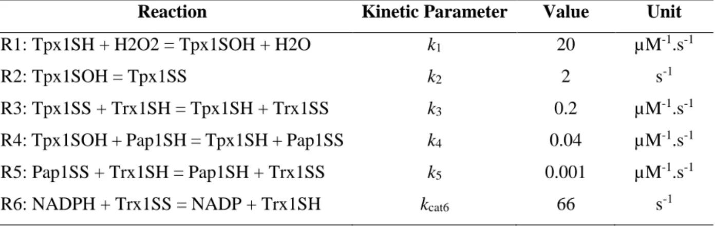 Table 3.1: Reactions, kinetic parameters and their values used to develop the computational  model based on the S