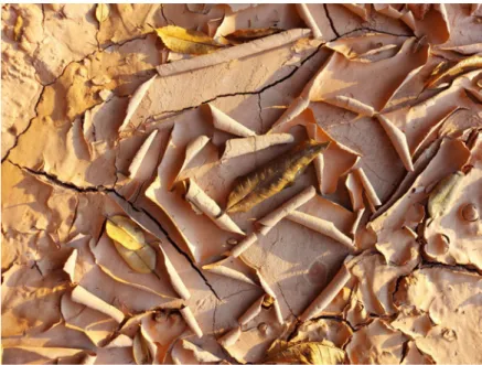 Figure 4: Moore 2020. Photograph of dried mud April 2020 during lockdown.