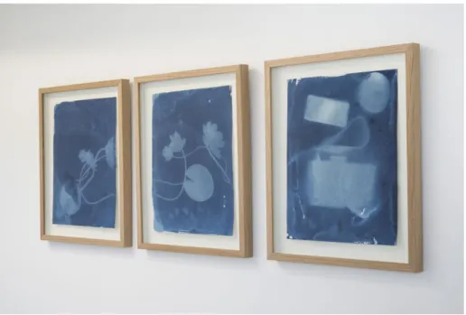 Figure 9: Christine Hansen, 2015.