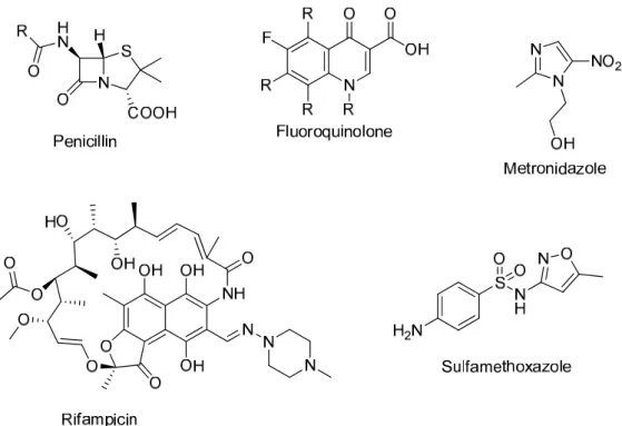 Figure 1.1  Classes of small molecule antibiotics 