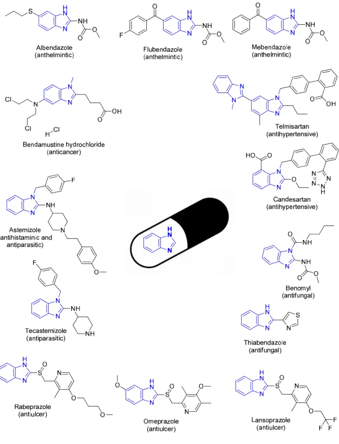 Figure 1.5 Drugs containing the benzimidazole pharmacophore 