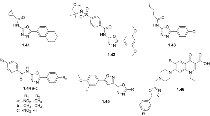 Figure 1.24  2,5-Disubstituted 1,3,4-oxadiazoles with antibacterial activity 