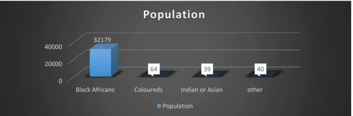 Fig 1.4 Population Groups 