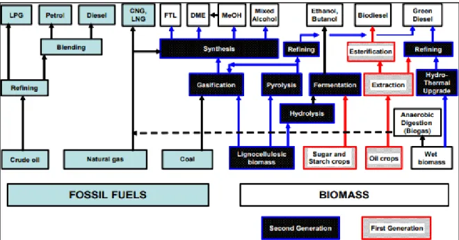 Figure 2. 1: Production pathways to liquid fuels from biomass and, for comparison, from fossil fuels  [28] 