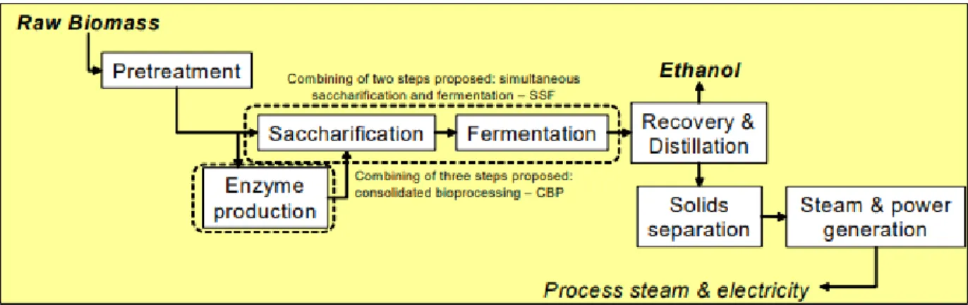 Figure 2. 2: Simplified depiction of process steps for the production of second-generation fuel ethanol  [28] 
