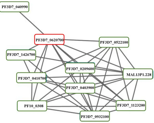 Figure  3.1.4  Network  of  PFF1010c  and  its  predicted  functional  partners.  PFF1010c  (PF3D7_0620700)  highlighted by a red box and its predicted functional partners