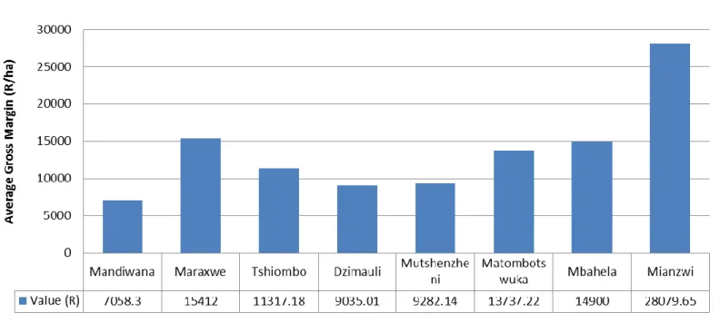 Figure 7: Average Gross Margin of sweet potato producers in the Vhembe district. 