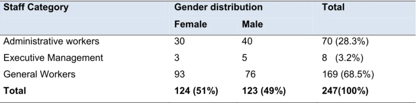 Table 3.1: Non-medical staff members’ categories 