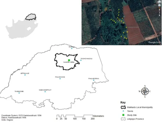 Figure 2.1 Map of  study area,  inset  image of  the macadamia orchard and remnant  patch (Google earth)