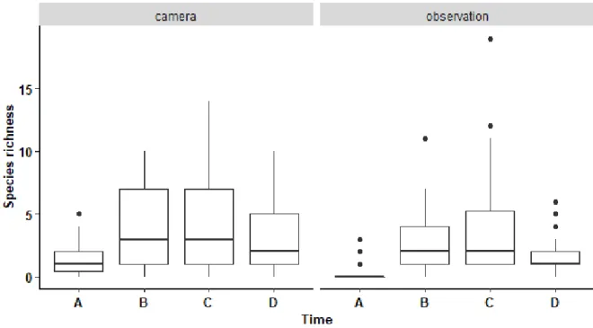 Figure 2.3: Variation in flower visitor richness observed on plants during the day. 
