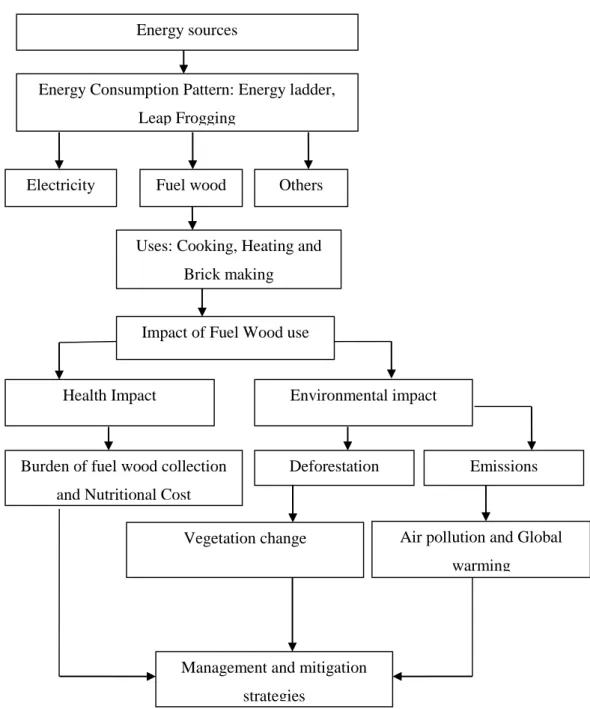 Figure 2.3: Conceptual Framework for the consumption of fuel wood as domestic energy. 