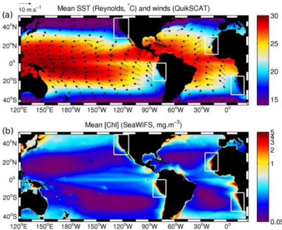 Figure  1.1:  Basin-scale  maps  of  mean  sea  surface  temperature  (SST),  wind  and  Chlorophyll-a  concentration, showing the location of the four major EBUS (white boxes)