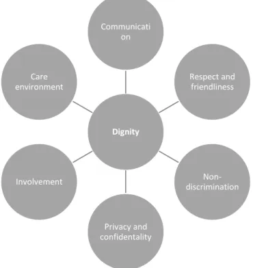 Figure 2: Themes of LMIC patient dignity   Source: author 