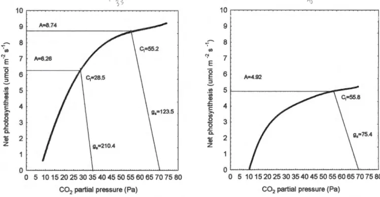 Figure 9:  Modelled simulations of net photosynthesis (A)  as a function of CO 2  supply