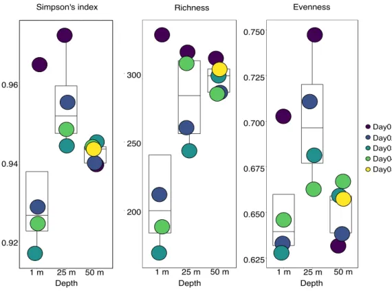 Figure  4.2.  Alpha  diversity  (Simpson’s  index,  richness  and  evenness)  for  OTUs  in  metagenomes from each sampling depth (1 m, 25 m and 50 m) and day in this five-day study