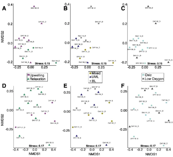 Figure 2.5. Non-metric multidimensional scaling (NMDS) analysis of the  weighted unifrac  distances between (A–C) bacterioplankton abundance and (D–F) picoeukaryote  taxon-abundance samples, respectively