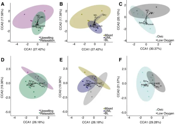 Figure  2.6.  Canonical  correspondence  analysis  (CCA)  ordination  plots  showing  the  constrained 16S rRNA taxon-abundance data grouped by (A) the upwelling condition, (B) the  identified water column type, (C) oxygen status of the water column and th