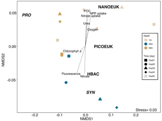Figure 3.11. Non-metric multidimensional scaling (nMDS) ordination (stress = 0.03) showing  the clustering of samples based on the carbon biomasses of the five major nanoeukaryote and  picoplankton  groups