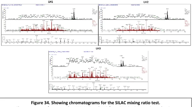 Figure 34. Showing chromatograms for the SILAC mixing ratio test.  
