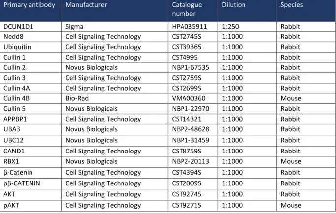 Table 20: Showing details of the primary antibodies used in the study 