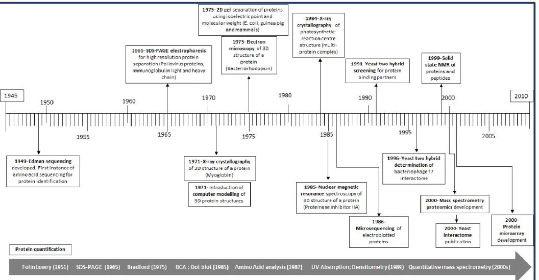 Figure 8. Timeline depicting developments in protein study methodology based on published data including advances in protein quantification methods