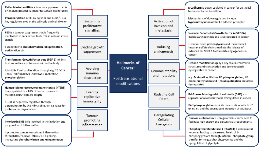 Figure 12. Showing the “Hallmarks of Cancer” as depicted in Hanahan and Weinberg 2011 and examples of the posttranslational modifications that  are implicated throughout