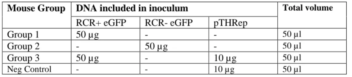 Table 4.2.2. Inoculation dosages for murine eGFP quantification 
