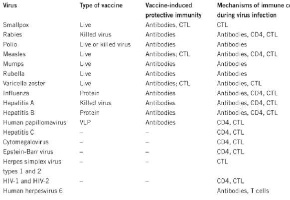 Table 1: Correlates of immune protection in different virus infections. Taken from Pantaleo and Koup, (2004)