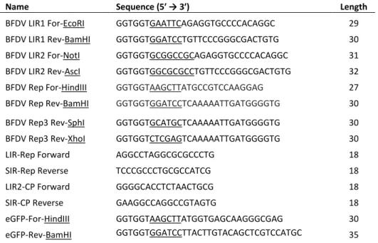 Table 2.2.4 List of oligonucleotides used. The restriction endonuclease site is underlined in the sequence