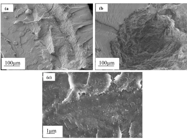 Figure 5.1 SEM micrographs of the cross sectional surface morphology for Nafion pCNTs  nanocomposites with different pCNTs loadings: (a) 0.2 wt%, (b) 0.5 wt%, and (c) 1.0 wt% 