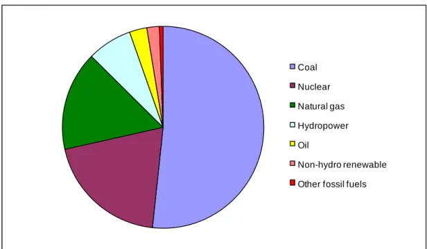 Figure 1.1 Distribution of South African power plants by fuel type based on 2004 annual  production [2]