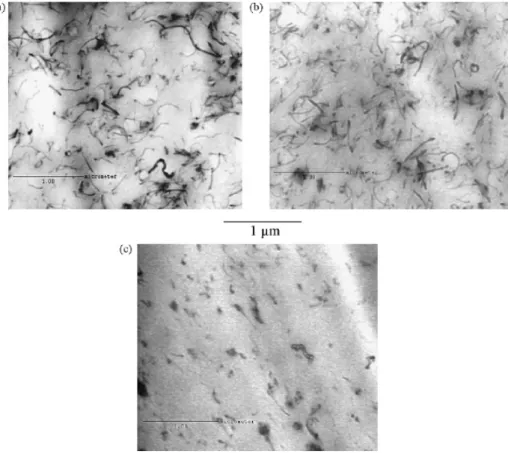 Figure 2.6 Transmission electron microscopy images of Nafion membranes filled with 1 wt%: 