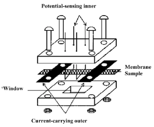 Figure 2.17 Schematic view of proton conductivity cell for four-point-probe electrochemical  impedance spectroscopy technique