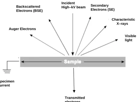 Figure 3.5 Illustration of possible signals generated when a high beam interacts with a thin  specimen [27]