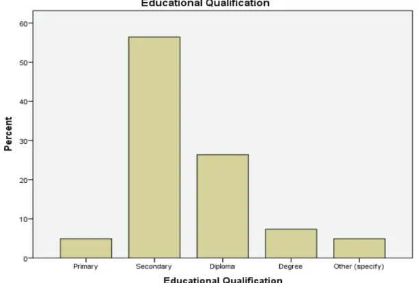 Figure 4.1: Respondents’ Educational Qualifications