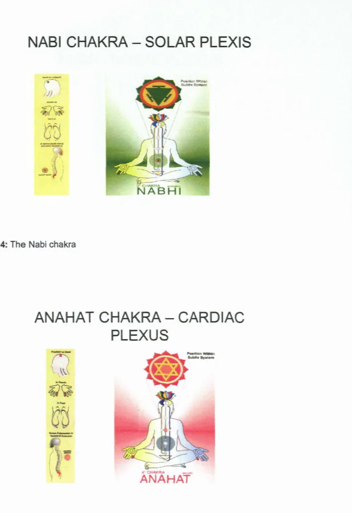 Figure 4: The Nabi chakra