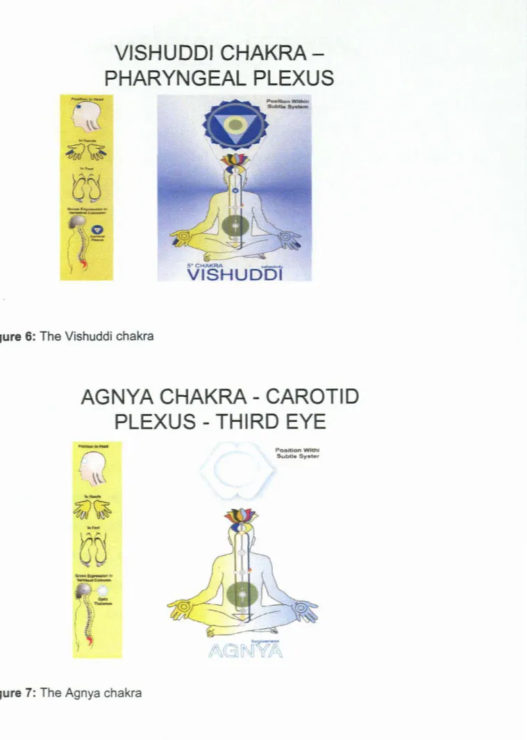 Figure 6: The Vishuddi chakra