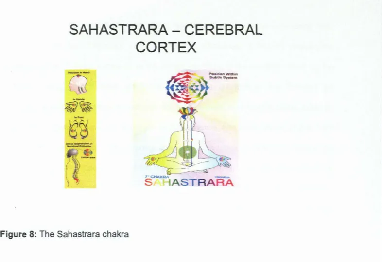 Figure 8: The Sahastrara chakra