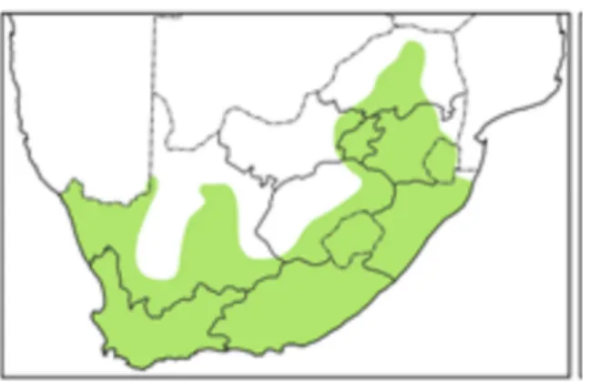 Figure  2.4  Distribution  map  of  Cotyledon  orbiculata  in  South  Africa  (South  African  National Biodiversity Institute)
