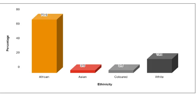 Figure 5. 3: Composition of ethnicity 