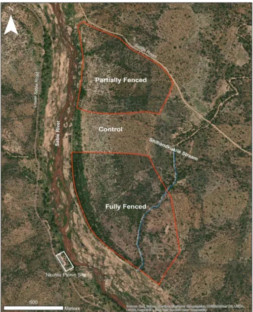 Figure 5: Layout of the Nkuhlu experimental site and its location relative to the Sabie River,  tourist roads and the Nkuhlu picnic site in the Kruger National Park