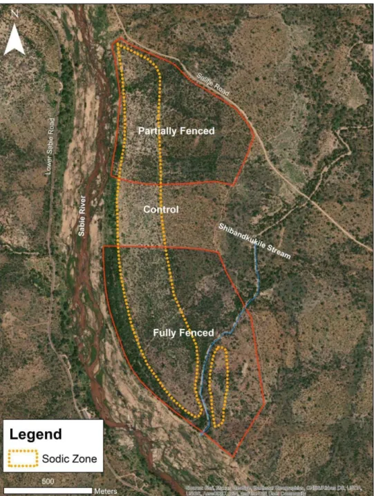Figure 10: Aerial view of the Nkuhlu experimental site indicating the distribution of the sodic  zone within the exclosures