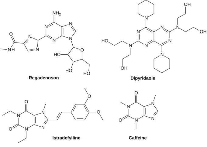 Figure 2-6:  Adenosine ligands approved for clinical use 