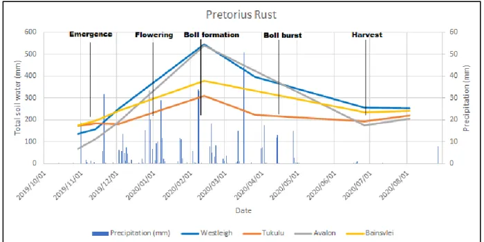 Figure 5-4:  Total soil water and precipitation of the Pretorius Rust site. 