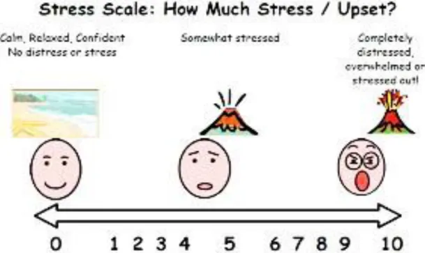 Figure 5:2: Emotion scale (Wong et al., 2021:531). 