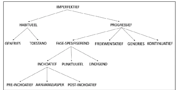 Figuur 5: Taksonomie van die imperfektiefaspek (eie voorstelling aangepas vanuit Breed, 2012) 