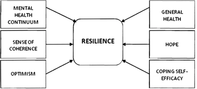 Figure 1.1: Resilience as the overarching concept  1.5.2.3 Coping self-efficacy 