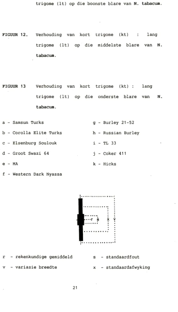 FIGUUR  11.  Verhouding  van  kart  trigome  (kt)  lang  trigome  (lt)  op  die  boonste  blare  van  N