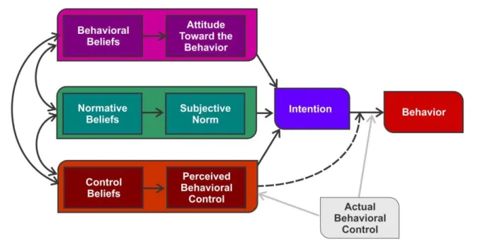 Figure 1.1:   The  diagram  is  a  schematic  representation  of  the  theory   (Ajzen, 1991:80) 