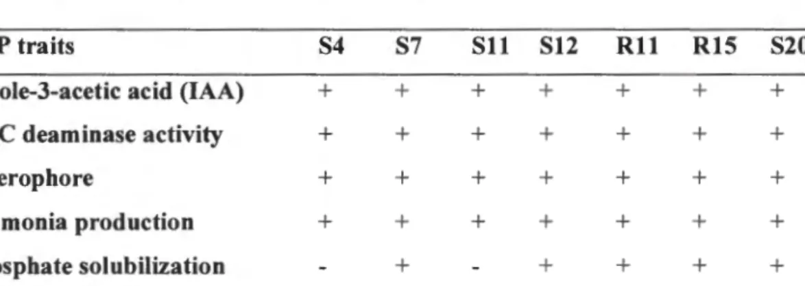 Table 3.1:  Qualitative plant growth promoting abilities of  bacterial  isolates 